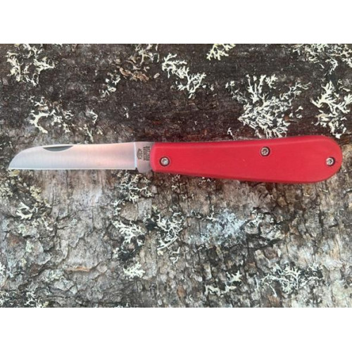 Endurance Red Lambfoot Endurance Red Lambfoot