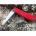 Endurance Red Lambfoot Endurance Red Lambfoot