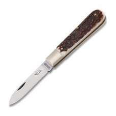 Otter Hunting Folding Knife Buckhorn