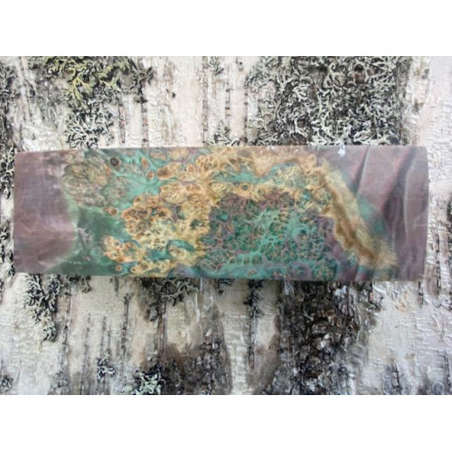 Double-Dyed Box Elder Burl/ Violet- Teal - 155mm x 50mm x 25mm Double-Dyed Box Elder Burl/ Violet- Teal - 155mm x 50mm x 25mm