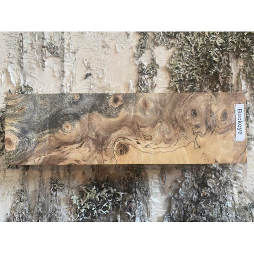 Stabilized Buck Eyed Burl 135mm x 40mm x 30mm Stabilized Buck Eyed Burl 135mm x 40mm x 30mm
