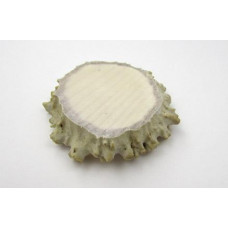 Moose Crown Medallion Small
