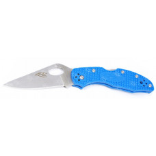 Fire Bird Blue