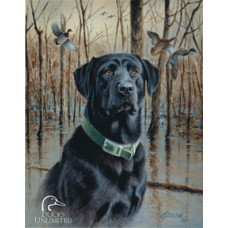 Ducks Unlimited - Great Retreivers