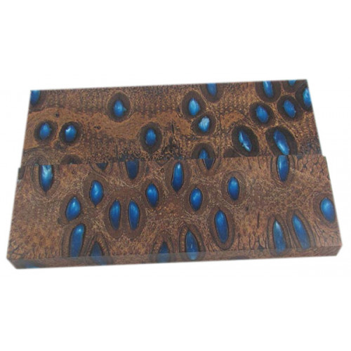 Stabilised Banksia Pod/Navy Stabilised Banksia Pod/Navy