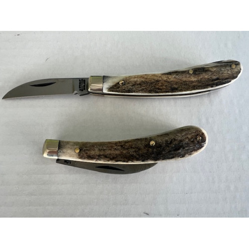 Etterick Stag Etterick Stag